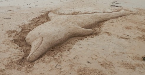 Our short-lived sand sculpture